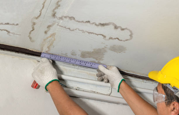 Reliable Burst Pipe Cleanup contractor in Scotts Hill, TN by Water Damage Irwin